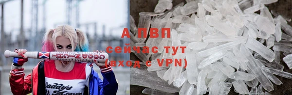 молекула духа Ладушкин