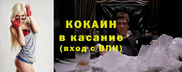молекула духа Ладушкин