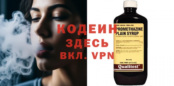 молекула духа Ладушкин
