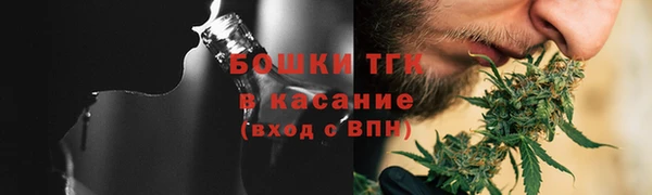 молекула духа Ладушкин