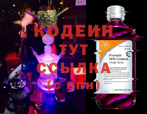 молекула духа Ладушкин