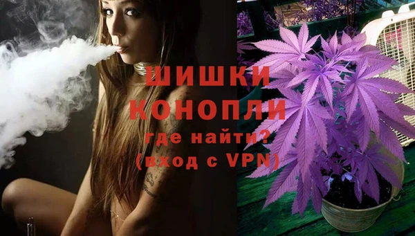 метадон Лагань
