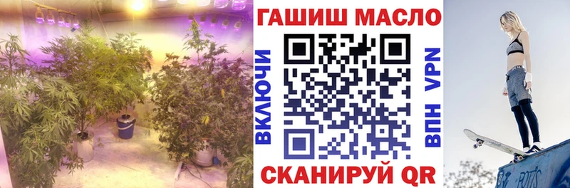 Дистиллят ТГК гашишное масло  дарнет шоп  mega зеркало  Ельня 