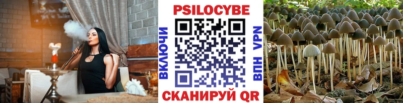Псилоцибиновые грибы ЛСД  как найти закладки  Ельня 